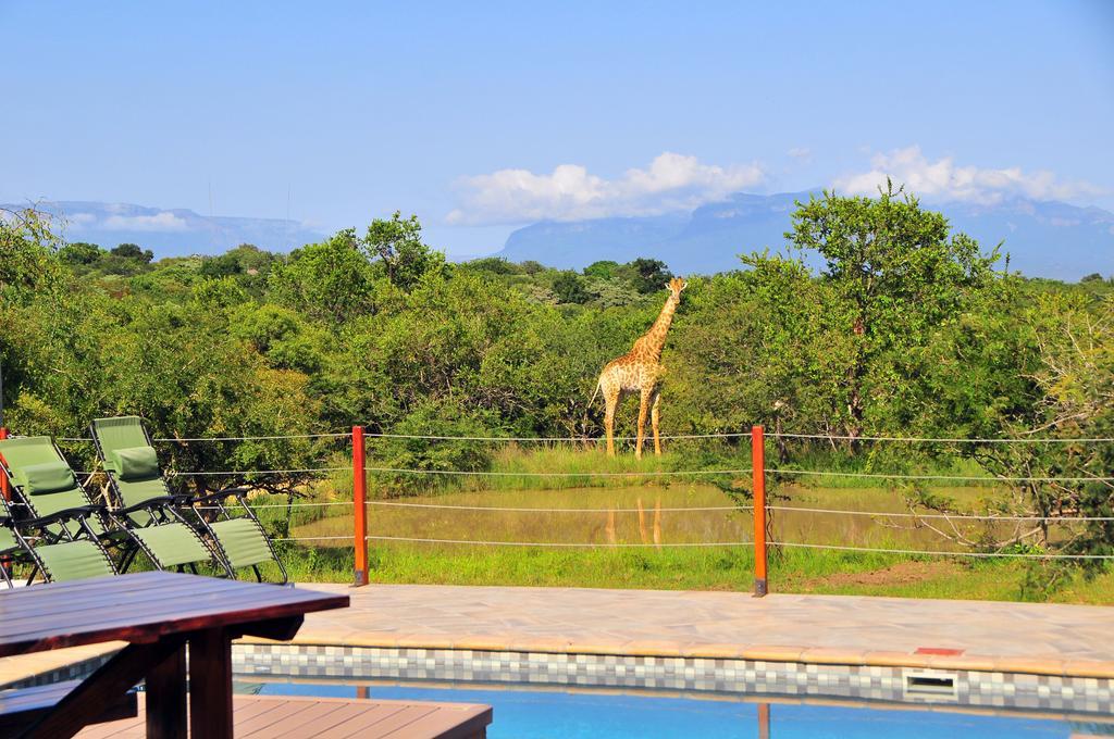 Cheetah Paw Eco Lodge Guernsey Nature Reserve Εξωτερικό φωτογραφία