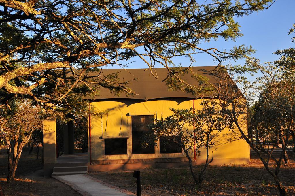 Cheetah Paw Eco Lodge Guernsey Nature Reserve Εξωτερικό φωτογραφία